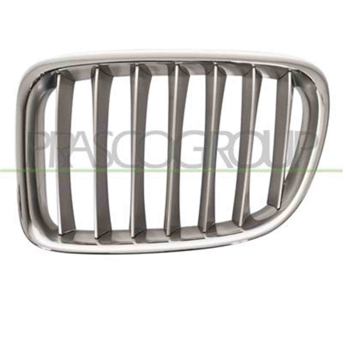 GUIDA_ALLA_SCELTA.JPG Griglia Radiatore Sinistra Per Bmw X1 - E84 Dal 2009 Al 2012