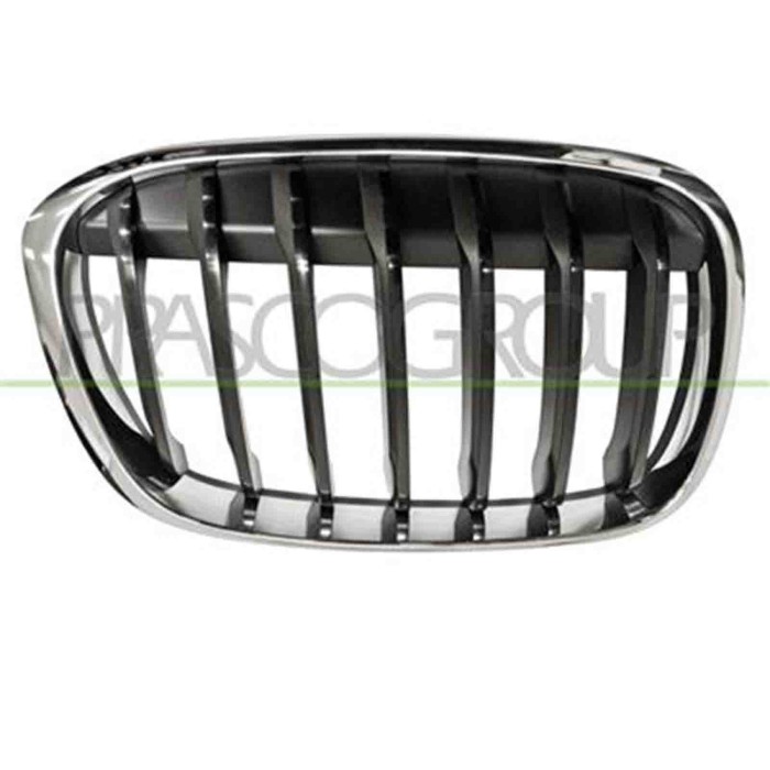 GUIDA_ALLA_SCELTA.JPG Griglia Radiatore Destra Per Bmw X1 - F48 Dal 2015 Al 2019