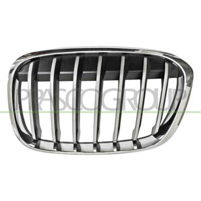 GUIDA_ALLA_SCELTA.JPG Griglia Radiatore Sinistra Per Bmw X1 - F48 Dal 2015 Al 2019
