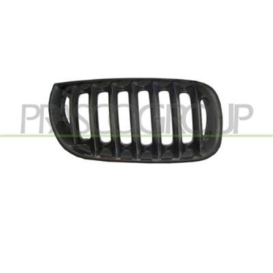 GUIDA_ALLA_SCELTA.JPG Griglia Radiatore Destra Per Bmw X3 - E83 Dal 2004 Al 2007