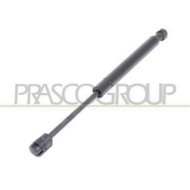 Molla A Gas Destra O Sinistra Cofano Per Bmw X3 - E83 Dal 2004 Al 2007