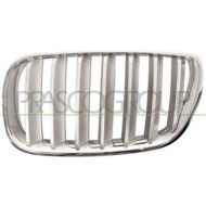 GUIDA_ALLA_SCELTA.JPG Griglia Radiatore Sinistra Cromata/titanio Per Bmw X3 - E83 Dal 2007 Al 2010