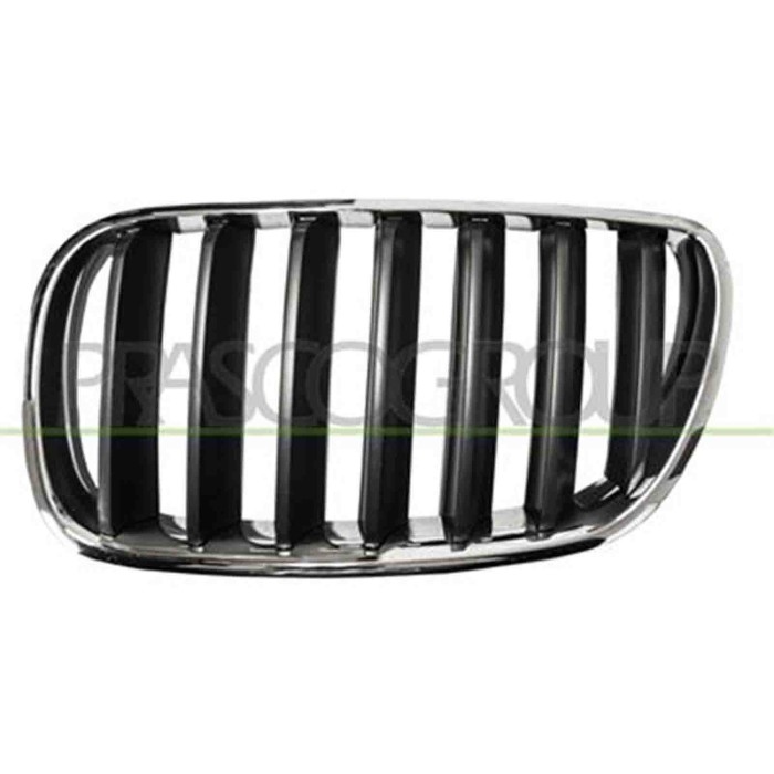 GUIDA_ALLA_SCELTA.JPG Griglia Radiatore Sinistra Cromata/titanio Grigio/scuro Per Bmw X3 - E83 Dal 2007 Al 2010