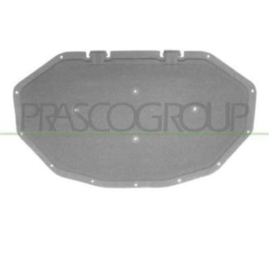 BM8041945_1.JPG Pannello Insonorizzatore Cofano Per Bmw X3 - F25 Dal 2010 Al 2014