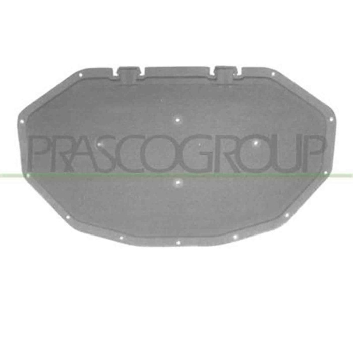 BM8041945_1.JPG Pannello Insonorizzatore Cofano Per Bmw X3 - F25 Dal 2010 Al 2014