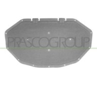 BM8041945_1.JPG Pannello Insonorizzatore Cofano Per Bmw X3 - F25 Dal 2010 Al 2014