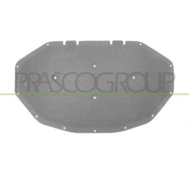 BM8041945_2.JPG Pannello Insonorizzatore Cofano Per Bmw X3 - F25 Dal 2010 Al 2014