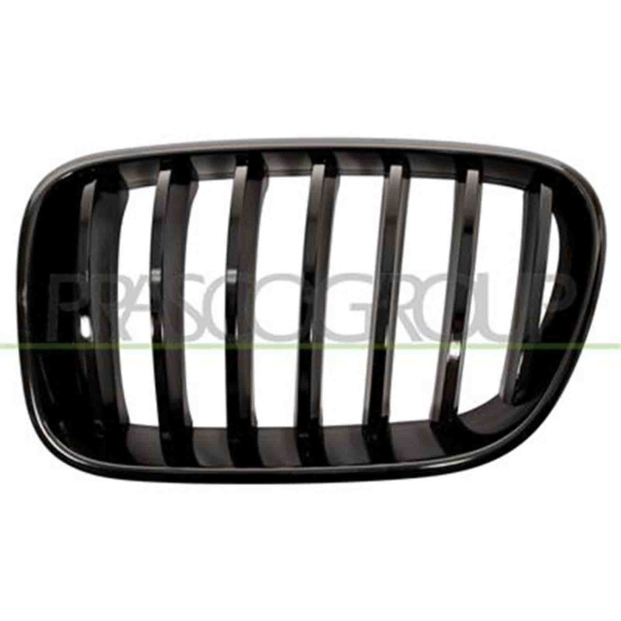 GUIDA_ALLA_SCELTA.JPG Griglia Radiatore Sinistra Per Bmw X3 - F25 - M-tech Dal 2010 Al 2014