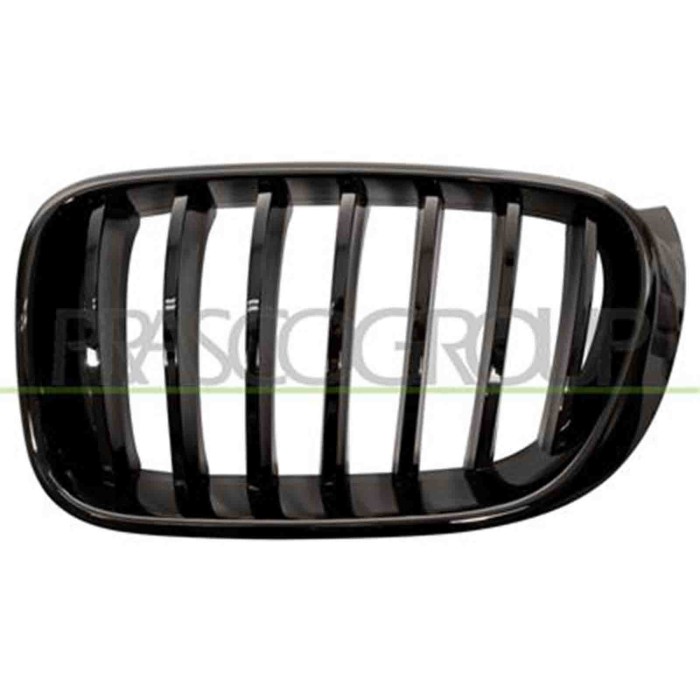 GUIDA_ALLA_SCELTA.JPG Griglia Radiatore Sinistra Per Bmw X3 - F25 Lci - M -tech Dal 2014 Al 2019