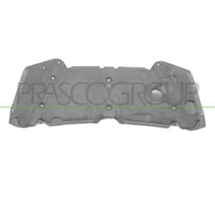BM8201945_1.JPG Pannello Insonorizzatore Cofano Per Bmw X5 - E53 Dal 2000 Al 2006