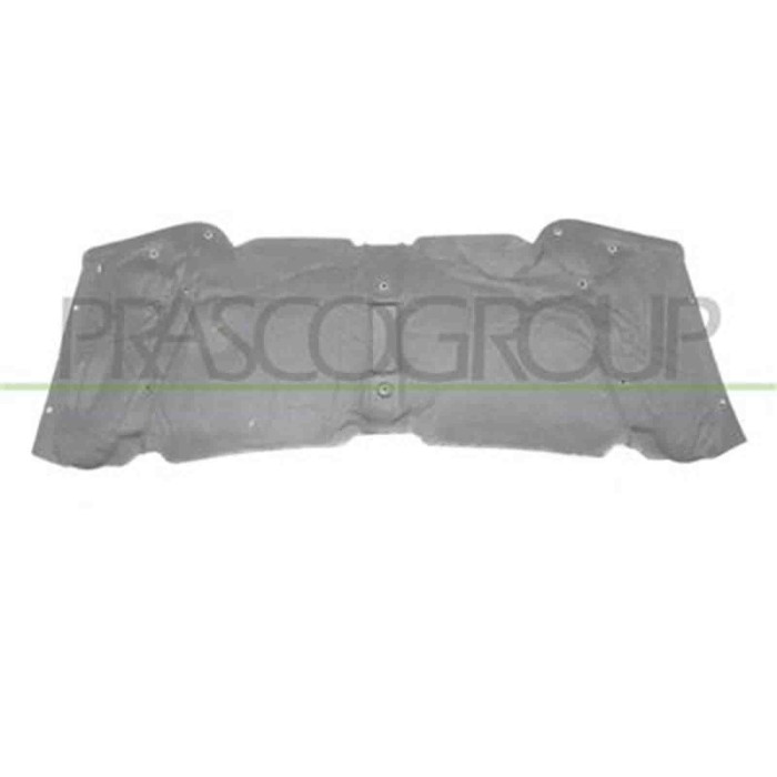 BM8201945_2.JPG Pannello Insonorizzatore Cofano Per Bmw X5 - E53 Dal 2000 Al 2006