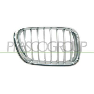GUIDA_ALLA_SCELTA.JPG Griglia Radiatore Destra Cromata Grigia Per Bmw X5 - E53 Dal 2000 Al 2006