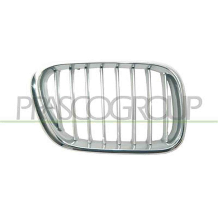GUIDA_ALLA_SCELTA.JPG Griglia Radiatore Destra Cromata Grigia Per Bmw X5 - E53 Dal 2000 Al 2006
