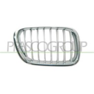 GUIDA_ALLA_SCELTA.JPG Griglia Radiatore Destra Cromata Grigia Per Bmw X5 - E53 Dal 2000 Al 2006