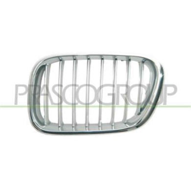 GUIDA_ALLA_SCELTA.JPG Griglia Radiatore Sinistra Cromata/grigia Per Bmw X5 - E53 Dal 2000 Al 2006