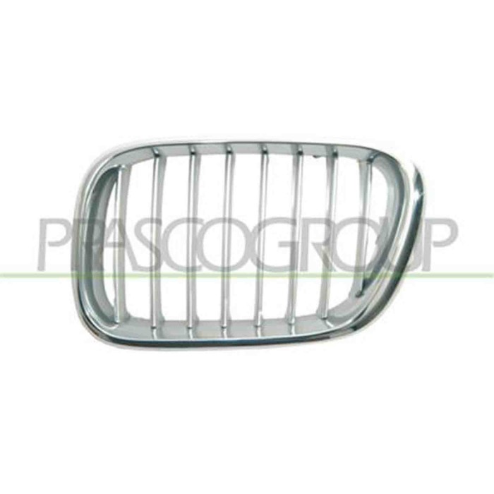 GUIDA_ALLA_SCELTA.JPG Griglia Radiatore Sinistra Cromata/grigia Per Bmw X5 - E53 Dal 2000 Al 2006