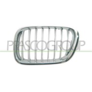 Griglia Radiatore Sinistra Cromata/grigia Per Bmw X5 - E53 Dal 2000 Al 2006