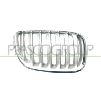 GUIDA_ALLA_SCELTA.JPG Griglia Radiatore Destra In Titanio Per Bmw X5 - E53 Dal 2000 Al 2006