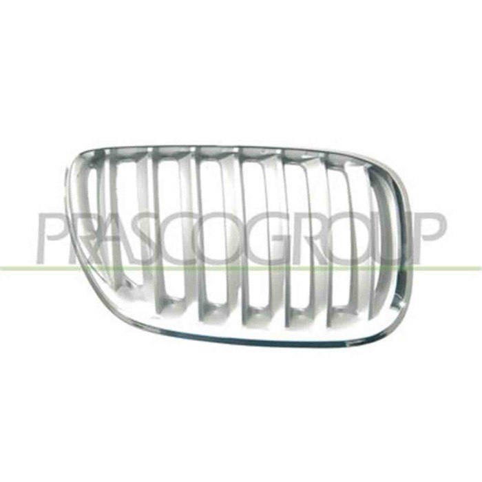 GUIDA_ALLA_SCELTA.JPG Griglia Radiatore Destra In Titanio Per Bmw X5 - E53 Dal 2000 Al 2006
