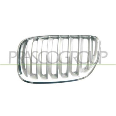 GUIDA_ALLA_SCELTA.JPG Griglia Radiatore Sinistra In Titanio Per Bmw X5 - E53 Dal 2000 Al 2006