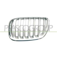Griglia Radiatore Sinistra In Titanio Per Bmw X5 - E53 Dal 2000 Al 2006