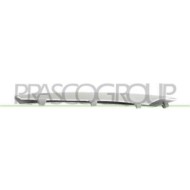 Modanatura Sinistra Paraurti Anteriore Argento Per Bmw X5 - E70 Dal 2007 Al 2010