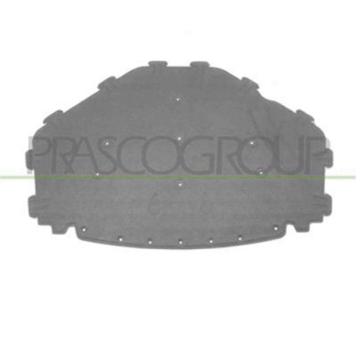 BM8221945_1.JPG Pannello Insonorizzatore Cofano Per Bmw X5 - E70 Dal 2007 Al 2010