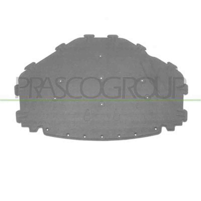 BM8221945_1.JPG Pannello Insonorizzatore Cofano Per Bmw X5 - E70 Dal 2007 Al 2010