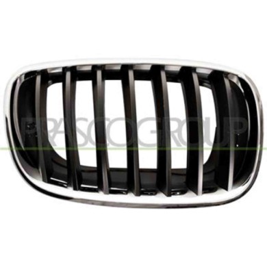 GUIDA_ALLA_SCELTA.JPG Griglia Radiatore Destra Cromata Per Bmw X5 - E70 Dal 2007 Al 2010