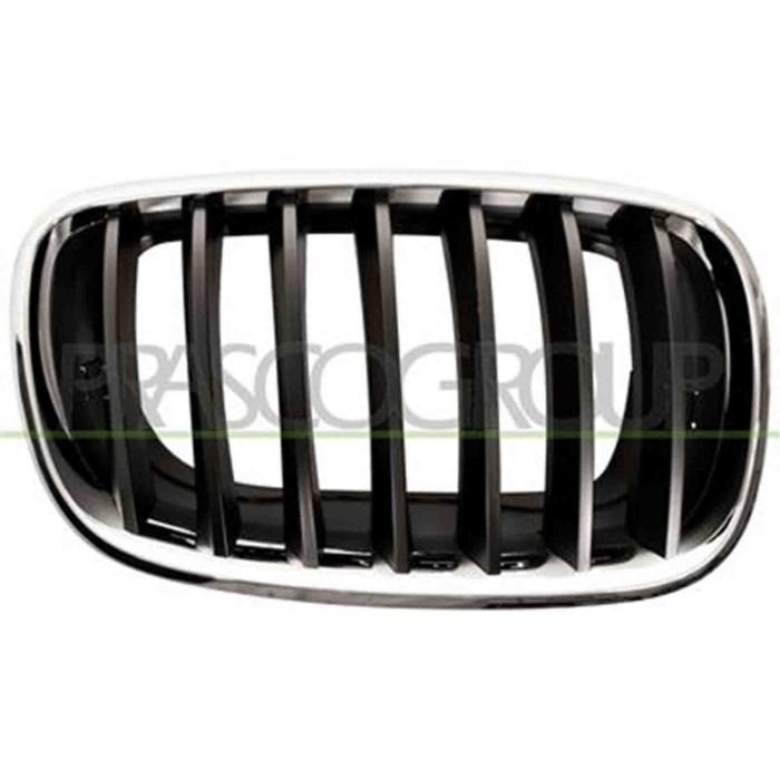 GUIDA_ALLA_SCELTA.JPG Griglia Radiatore Destra Cromata Per Bmw X5 - E70 Dal 2007 Al 2010