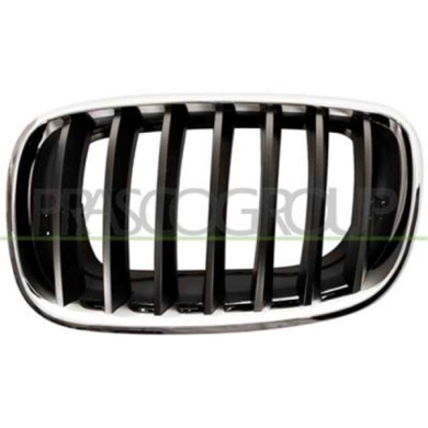 GUIDA_ALLA_SCELTA.JPG Griglia Radiatore Sinistra Cromata Per Bmw X5 - E70 Dal 2007 Al 2010