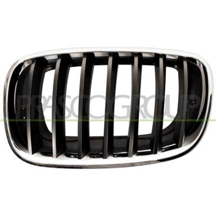 GUIDA_ALLA_SCELTA.JPG Griglia Radiatore Sinistra Cromata Per Bmw X5 - E70 Dal 2007 Al 2010