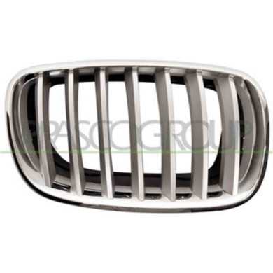 GUIDA_ALLA_SCELTA.JPG Griglia Radiatore Destra Per Bmw X5 - E70 Dal 2007 Al 2010