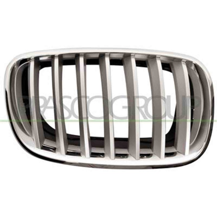 GUIDA_ALLA_SCELTA.JPG Griglia Radiatore Destra Per Bmw X5 - E70 Dal 2007 Al 2010
