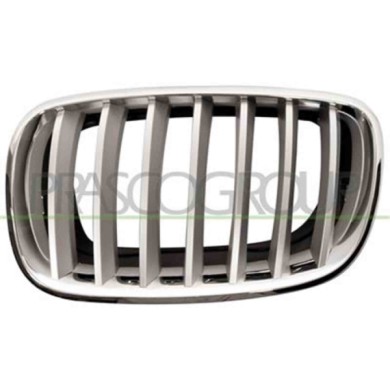GUIDA_ALLA_SCELTA.JPG Griglia Radiatore Sinistra Per Bmw X5 - E70 Dal 2007 Al 2010