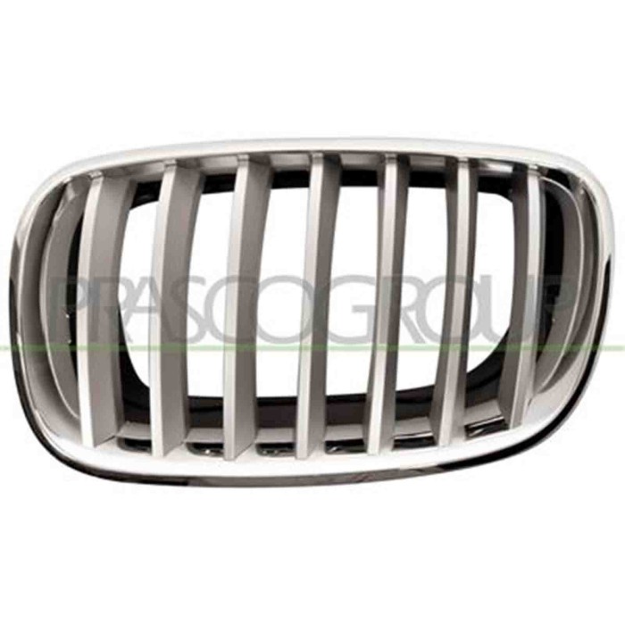 GUIDA_ALLA_SCELTA.JPG Griglia Radiatore Sinistra Per Bmw X5 - E70 Dal 2007 Al 2010