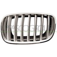Griglia Radiatore Sinistra Per Bmw X5 - E70 Dal 2007 Al 2010