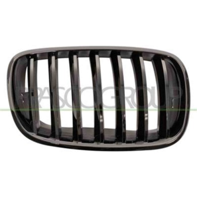 GUIDA_ALLA_SCELTA.JPG Griglia Radiatore Destra Per Bmw X5 - E70 - M-tech Dal 2007 Al 2010