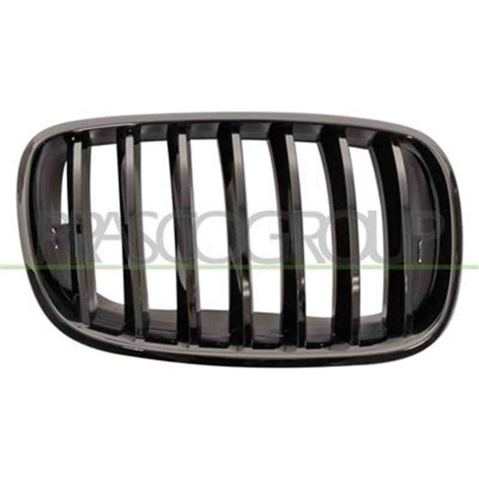 GUIDA_ALLA_SCELTA.JPG Griglia Radiatore Destra Per Bmw X5 - E70 - M-tech Dal 2007 Al 2010