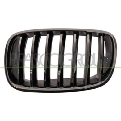 GUIDA_ALLA_SCELTA.JPG Griglia Radiatore Sinistra Per Bmw X5 - E70 - M-tech Dal 2007 Al 2010