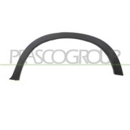 Parafanghino Posteriore Sinistro Per Bmw X5 - E70n Dal 2010 Al 2013