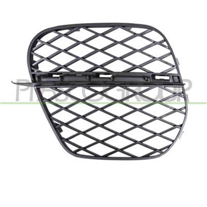 BM8242134_2.JPG Griglia Sinistra Paraurti Anteriore Per Bmw X5 - E70n Dal 2010 Al 2013