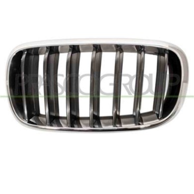 GUIDA_ALLA_SCELTA.JPG Griglia Radiatore Sinistra Per Bmw X5 - F15 Dal 2013 Al 2018