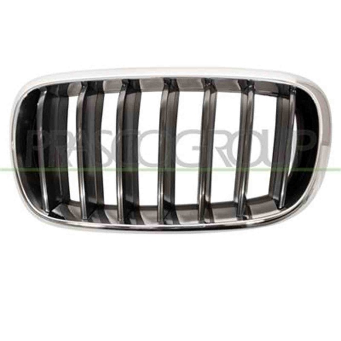 GUIDA_ALLA_SCELTA.JPG Griglia Radiatore Sinistra Per Bmw X5 - F15 Dal 2013 Al 2018