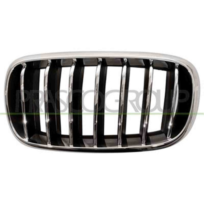 GUIDA_ALLA_SCELTA.JPG Griglia Radiatore Sinistra Cromata Per Bmw X5 - F15 Dal 2013 Al 2018