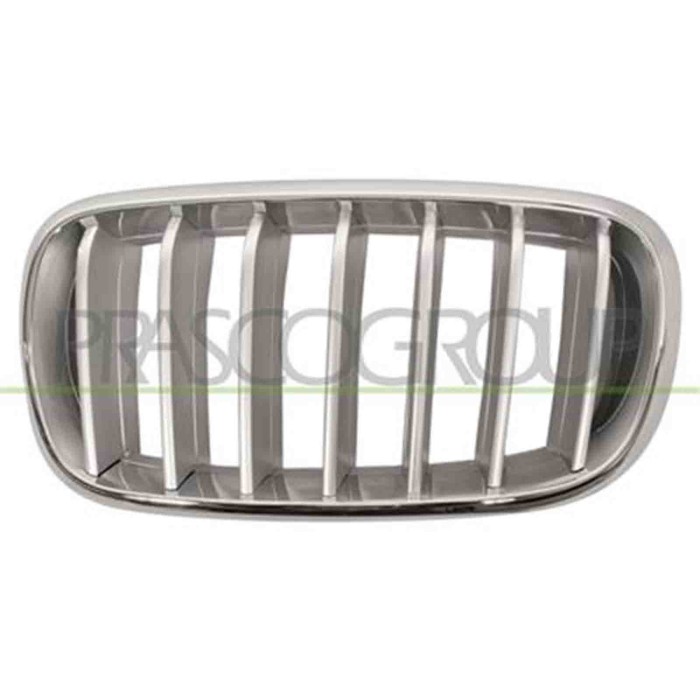 GUIDA_ALLA_SCELTA.JPG Griglia Radiatore Sinistra Per Bmw X5 - F15 Dal 2013 Al 2018