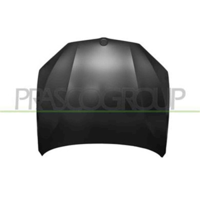 BM8263110_1.JPG Cofano Per Bmw X5 - F15 Dal 2013 Al 2018