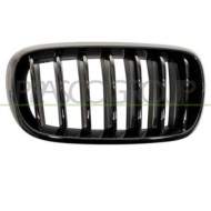 Griglia Radiatore Destra Per Bmw X5 - F15 - M-tech Dal 2013 Al 2018