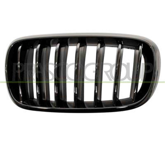 GUIDA_ALLA_SCELTA.JPG Griglia Radiatore Sinistra Per Bmw X5 - F15 - M-tech Dal 2013 Al 2018