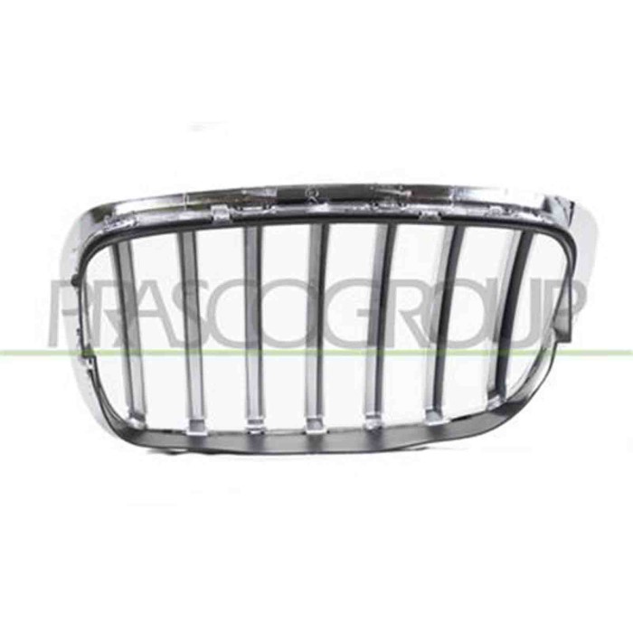 BM8402033_1.JPG Griglia Radiatore Destra Per Bmw X6 - E71 Dal 2008 Al 2014